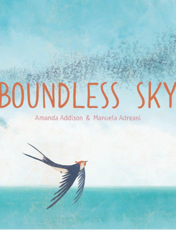 Boundless Sky by Amanda Addison & Manuela Adreani (Hardback)