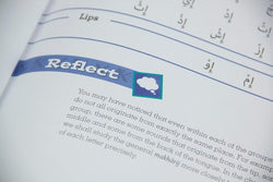 Tajweed Untangled