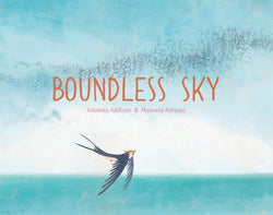 Boundless Sky by Amanda Addison & Manuela Adreani (Hardback)